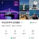 쿠키드시우 | [부산 여행 맛집] 끼룩끼룩 부산 여행 2탄 | 광안리 바다 보고 아기 돼지 보고 요트 타는 나의 하루...
