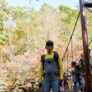 피아골(기산) 이미지