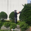 두레교육 이미지