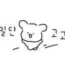 그릭홀릭포케 이미지