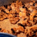 토종슈퍼 이미지