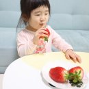 인쌩과일 부끄럼 논산딸기 산지 직송 유아간식 킹스베리딸기