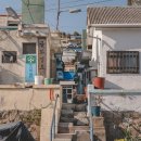 펜드로잉과 수채화 | 관악구 미술학원, 그림화원에서 펜드로잉 수업 수강한 후기