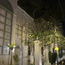 행복한 여자의 공간 | 치앙마이 내돈내산 올드타운 더인사이드하우스 호텔 객실 후기, 수영장, 어메니티 후기 등등