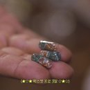헬스맥스 이미지