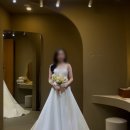 호림빌딩 | wed log. 07 🤍 | 셀레브 촬영 가봉 후기 | 실크·레이스·슬림 드레스 비교