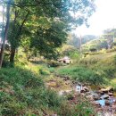 [캠린이여행]In 횡성🏕 춘당노다지휴양마을 애견동반 캠핑장