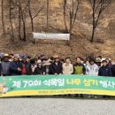 초록나무세상