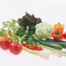 야채 - 성남시 중원구 산성대로450번길 4 | 야채