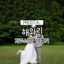 다정해 | 제주 야외스냅 추천 해와림 내돈내산 촬영전과정 후기
