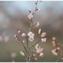 재개발 컨설팅 행정사 사무소 이미지