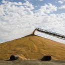 상상농장 이미지