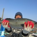 해솔바다낚시터 이미지