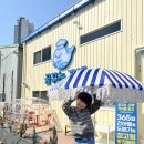 화성건어물 | [꿈꾸는 고래 건어물 창고] 도매가로 건어물 쇼핑?! 육아맘이 완전 반한 창고형 마트 🐳