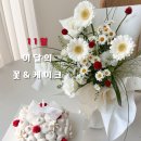 던라이즈