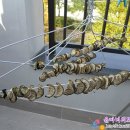 햇님세탁소 이미지