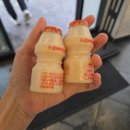 맛있는양분식 | 시청 근처 경양식 수제 돈까스와 쫄면 맛집 스완양분식