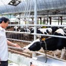 오탄목장 이미지