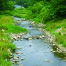 천천면오연삼거리 이미지