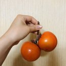 CU 논현단풍점 | 11월의 일상 - 3