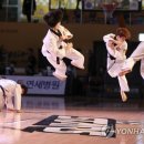 참피온체육관 (태권도) 이미지
