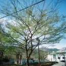 함박공원 입구 이미지