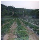윗말농장 이미지