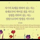 오늘의 '영어성경 사진'(926강) “우리가 뿌리는 것과 거두는 것”(갈라디아서 6장 8절) 이미지