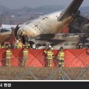 메이데이 이미지