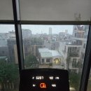 룰루짐 휘트니스 | 12월 휴가 | 다낭 가족여행 (2)