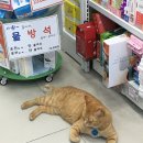 41번길약국 이미지