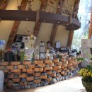 숲속의 휴식 이미지