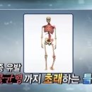 인체균형연구소