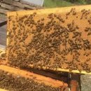 소망농장 이미지