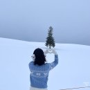 거락숲 대량마을 | 삿포로 비에이투어 추천 후기｜아이젠 필수, 인디고트래블 실제 일정 정리