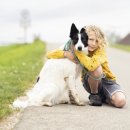 베이지동물병원 이미지