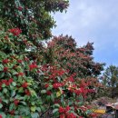 쉬는나무한의원 이미지