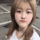 로이드밤효성점 | 단골미용실을 찾아가려는건가?