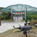 나비트래블