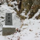 여주-0547 Daum카페