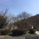 국보966옛날두부 이미지