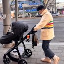 소 | LVC 44501 소킹 후기