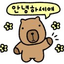 우미사 이미지
