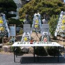 대전동산의원 이미지