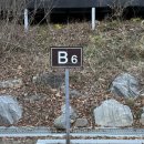 휴양림로 | [대전/캠핑장] 산디마을 캠핑장 사이트 피칭 후기