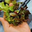 맛집 미가 이미지