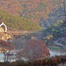 구절초가는길 이미지