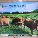 청정식육유통 이미지