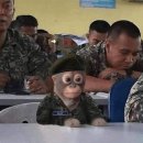 메모라커피 | 출국 하루 전에 비자를 발급받다 இ ◠ இ | 독일 교환학생