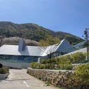 황산목장 | 양산 나들이 | 성림목장 카페, 황산공원 유채꽃🌼
